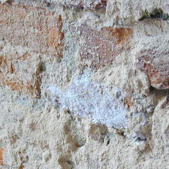 Soluzioni per murature degradate da sali ed umidità